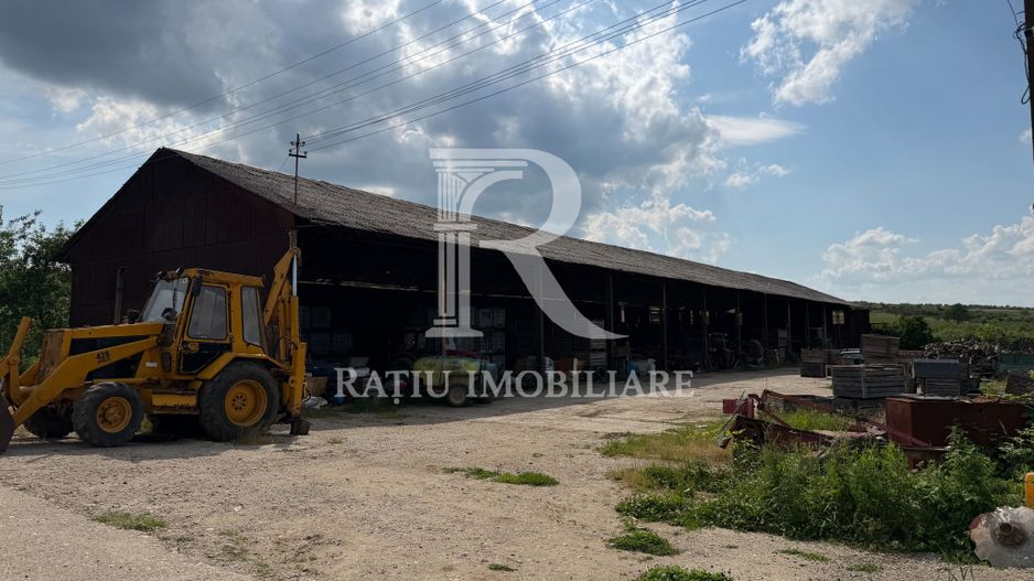 Activ agricol integrat | 67,5 ha | Oportunitate investițională - Poză 12