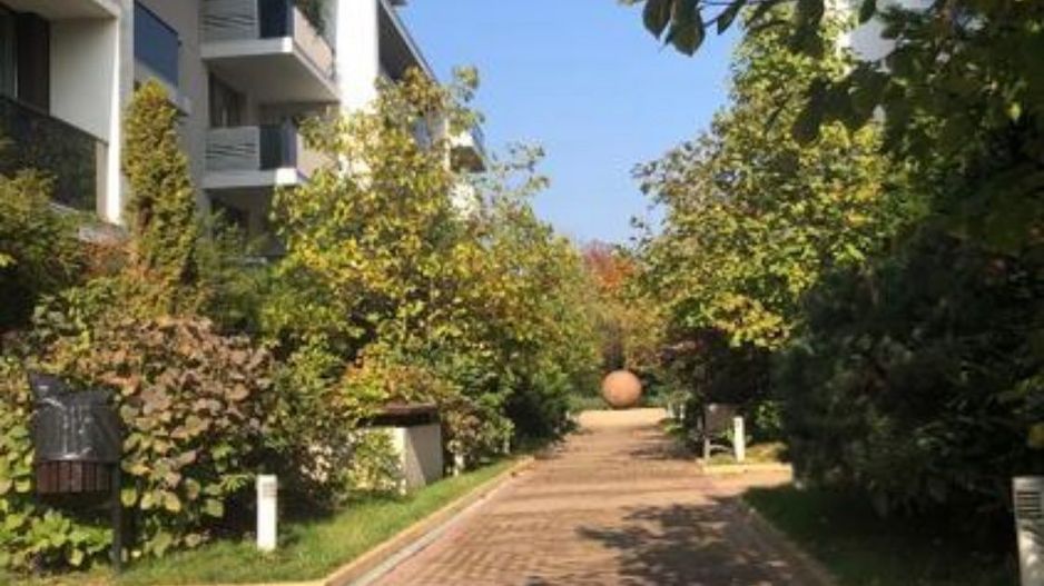 Apartament 2 camere de inchiriat Privighetorilor Iancu Nicolae parcare - Poză 8