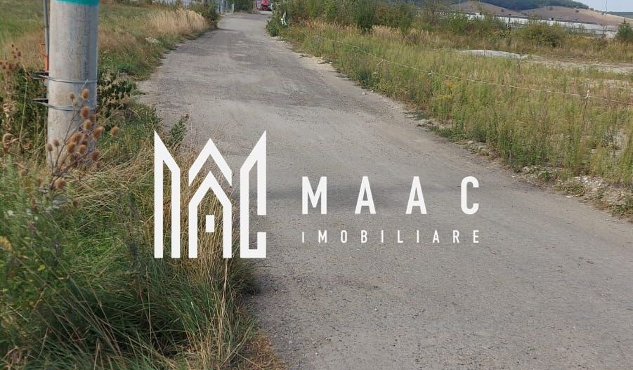 Teren | 10,000 MP | Extravilan | Posibilitate de parcelare | Cristian - Poză 3