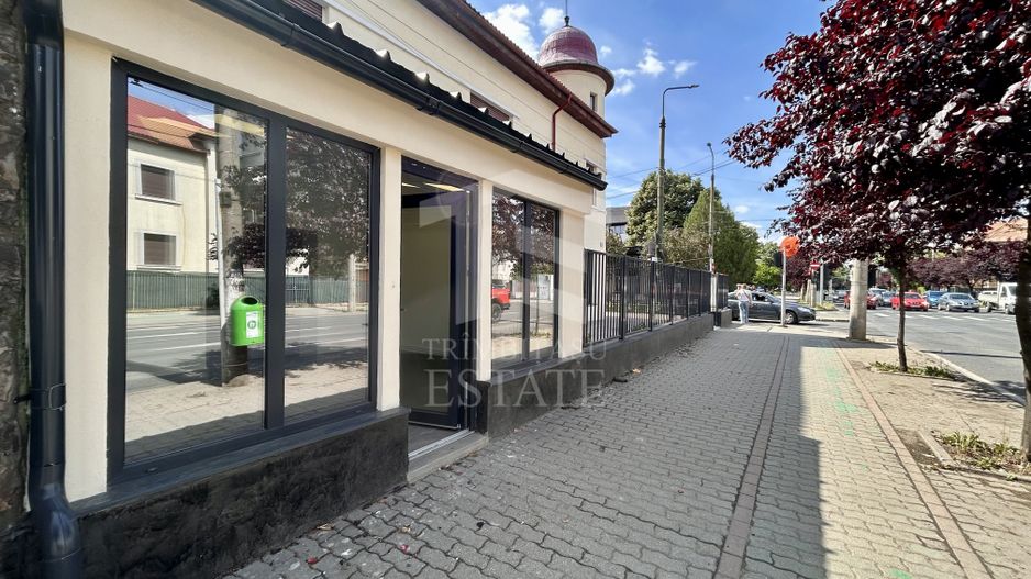 SAD 90 mp | Str. Cluj- Aries | VAD auto si pietonal | trifazic - Poză 3