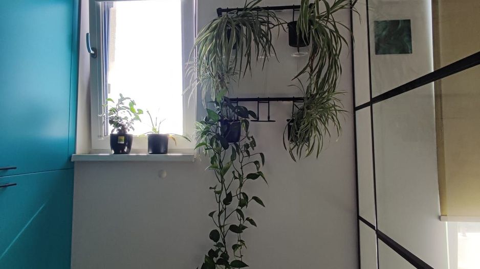 Apartament cu 3 camere, 2 bai si loc de parcare - Poză 15