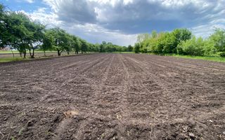 Teren Intravilan | 22 ARI | Horodnic De Jos - Poză 1