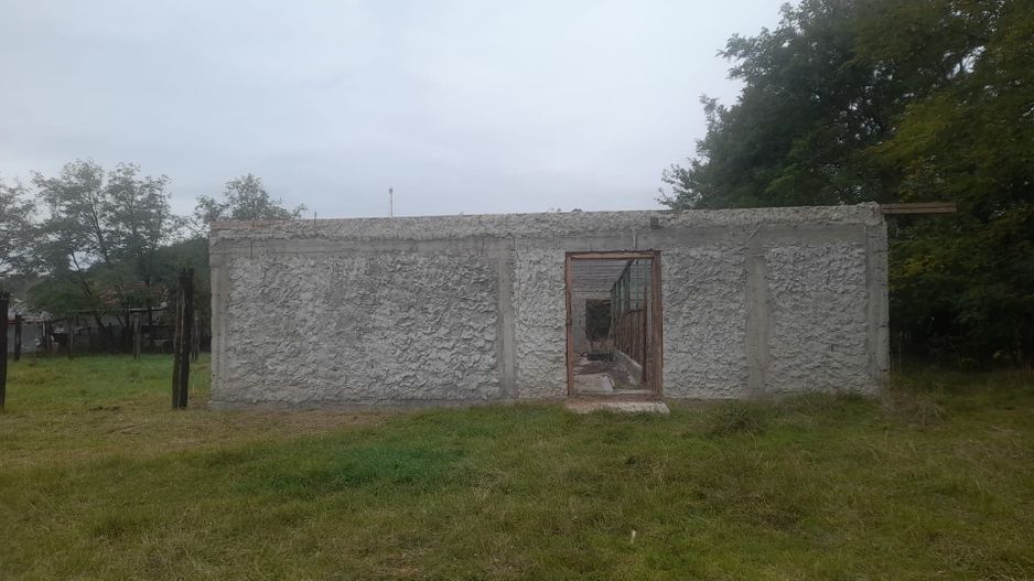 TEREN EXTRAVILAN 7.600 mp, VASLUI - zona REDIU; - Poză 3