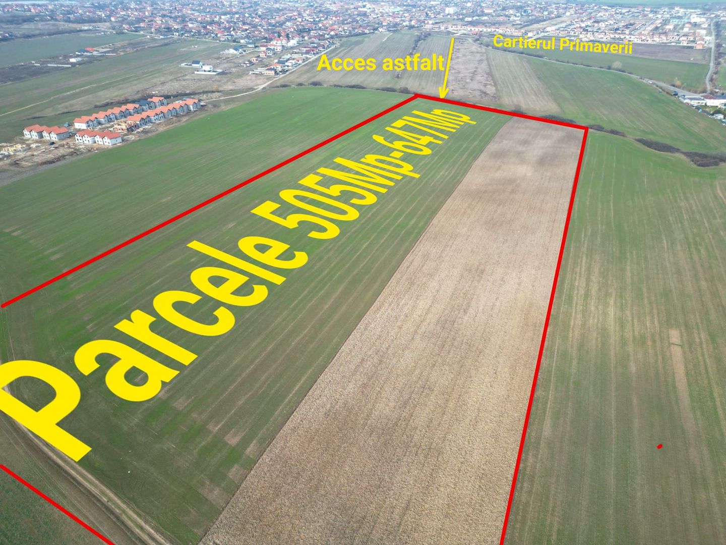 Teren la super pret-Sacalaz - Poză 1