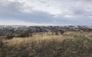 Parcela 7600 m2 Valea Fanatelor - Poză 7