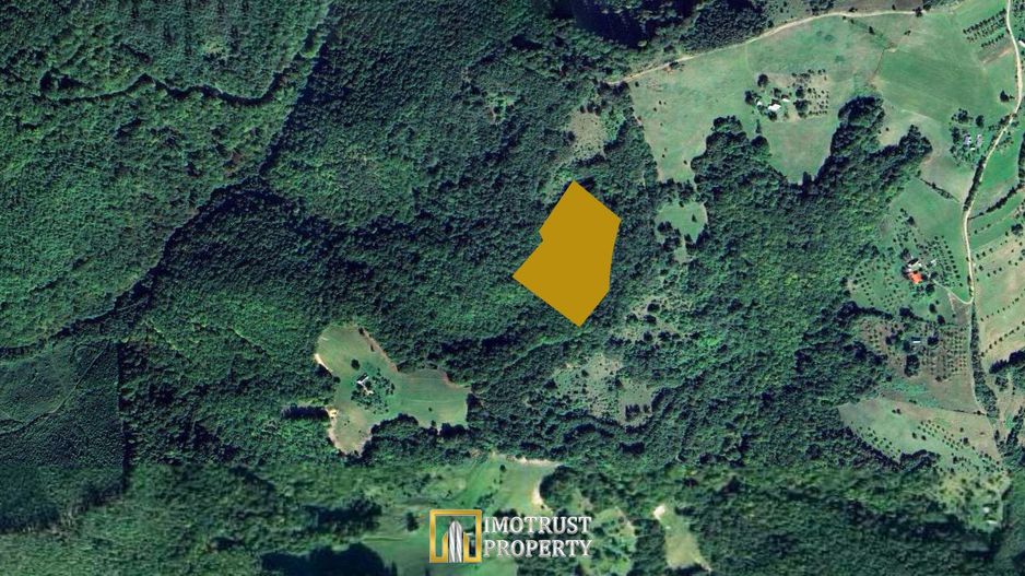 De vânzare teren extravilan  8,2037 ha pădure și pășune Borod, Bihor - Poză 1