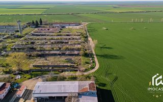 De vanzare Complex Zootehnic Suine Jud. Arad SU 15.30ha, Ferma, Grajd - Poză 5