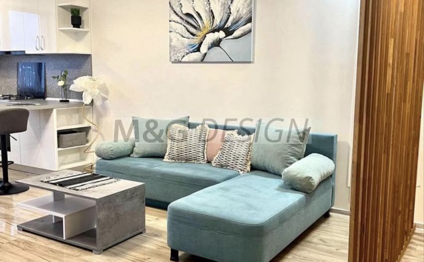 Apartament 2 camere Giroc amenajat - Poză 2