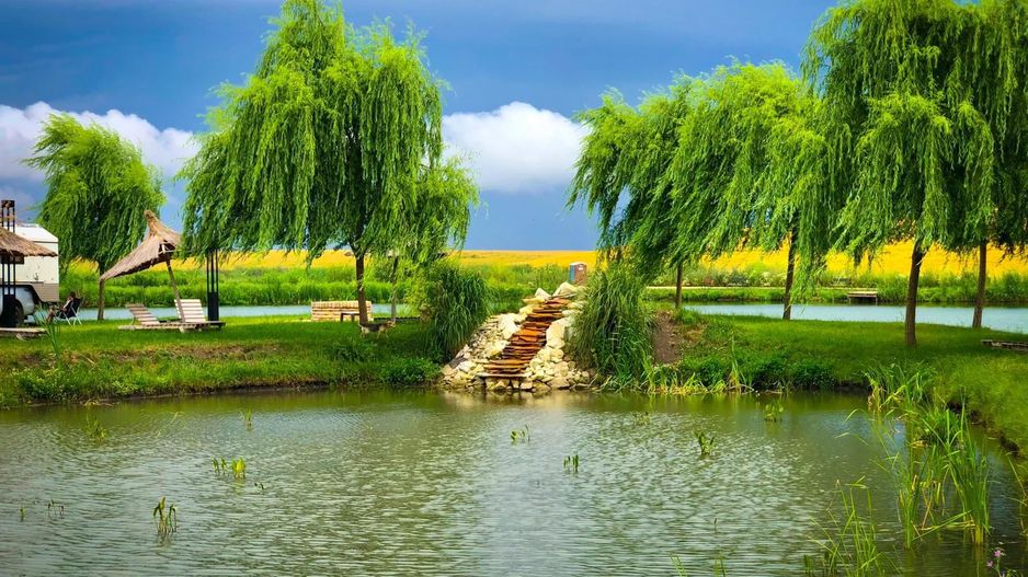 Pescărie cu restaurant - Poză 3