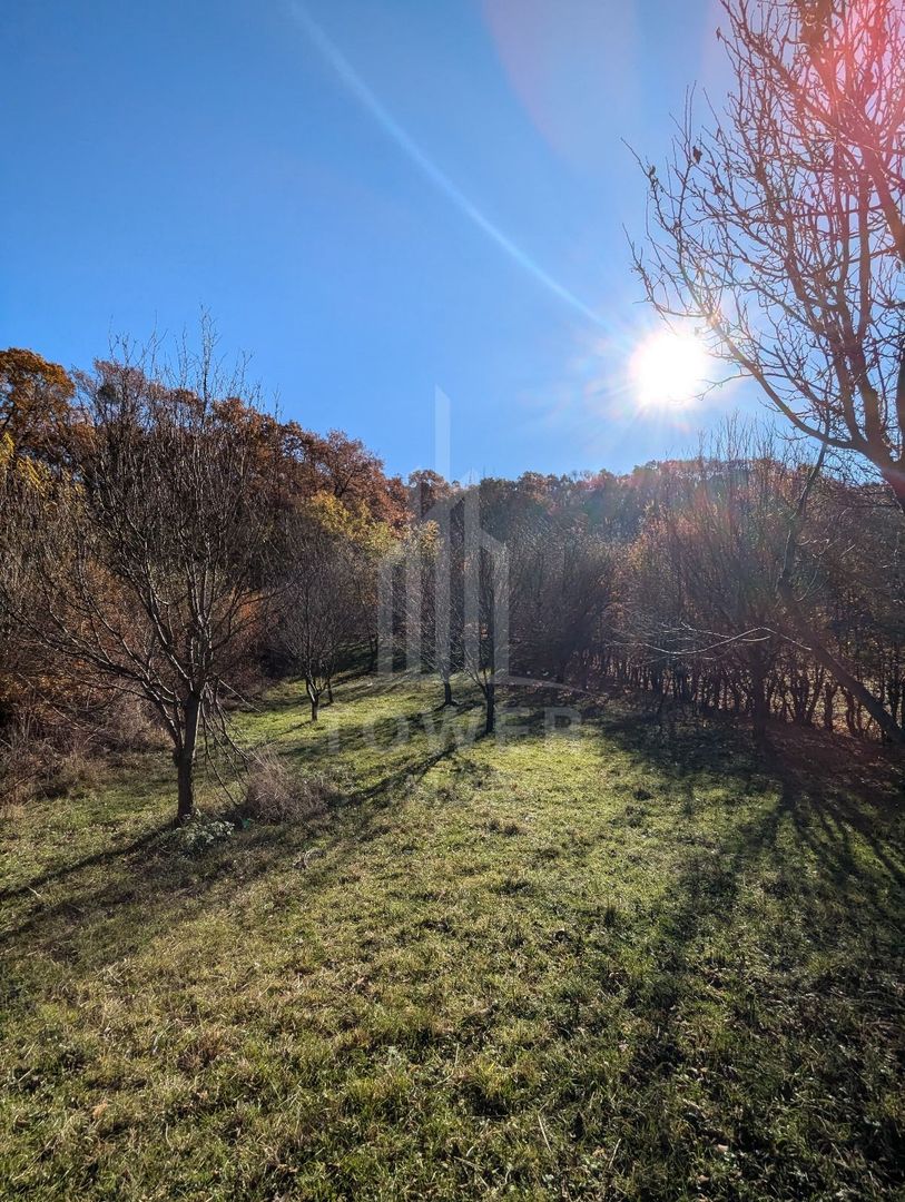 Teren extravilan in Tropinii Noi (Rasinari)-2592 mp - Poză 3