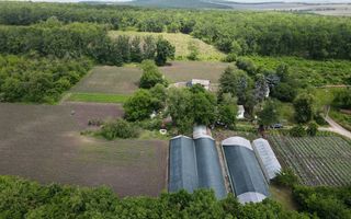 Vânzare, teren, 1.74 ha, satul Bilicenii Noi, raionul Sîngerei - Poză 2