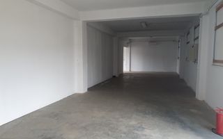 2 HALE de 357 mp si 474 mp  si teren intravilan de 5423 mp  Isalnita - Poză 9