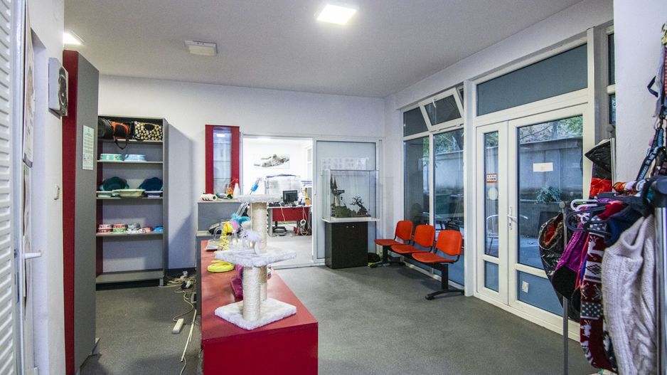 Spatiu birou / comercial / cabinet, zona Brancoveanu - Alunisului - Poză 2