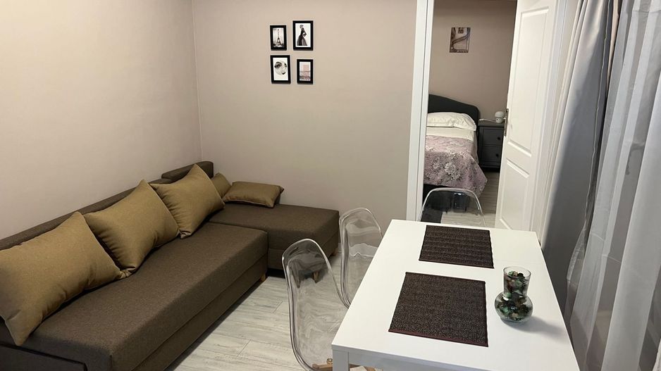 penthouse tip duplex | aparthotel | Dorobanti | Floreasca - Poză 3