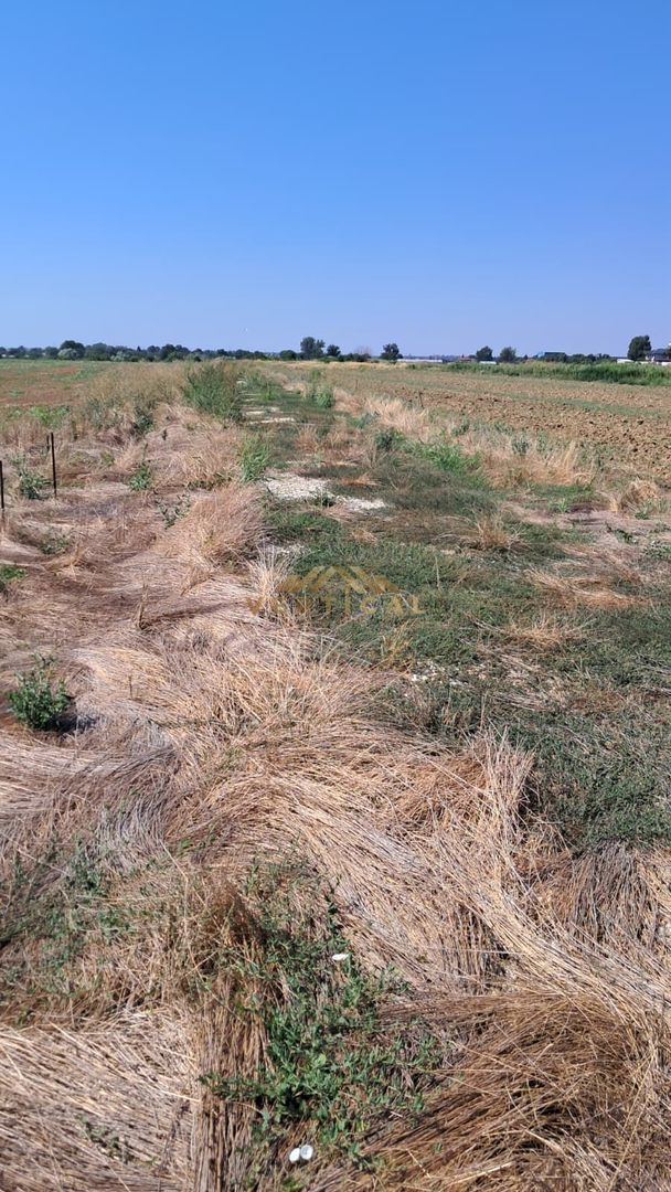 Teren Intravilan 500 mp de Vânzare – Vidra - Poză 5