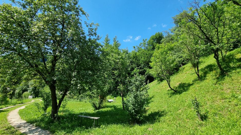 Casa de la marginea padurii! - Poză 10