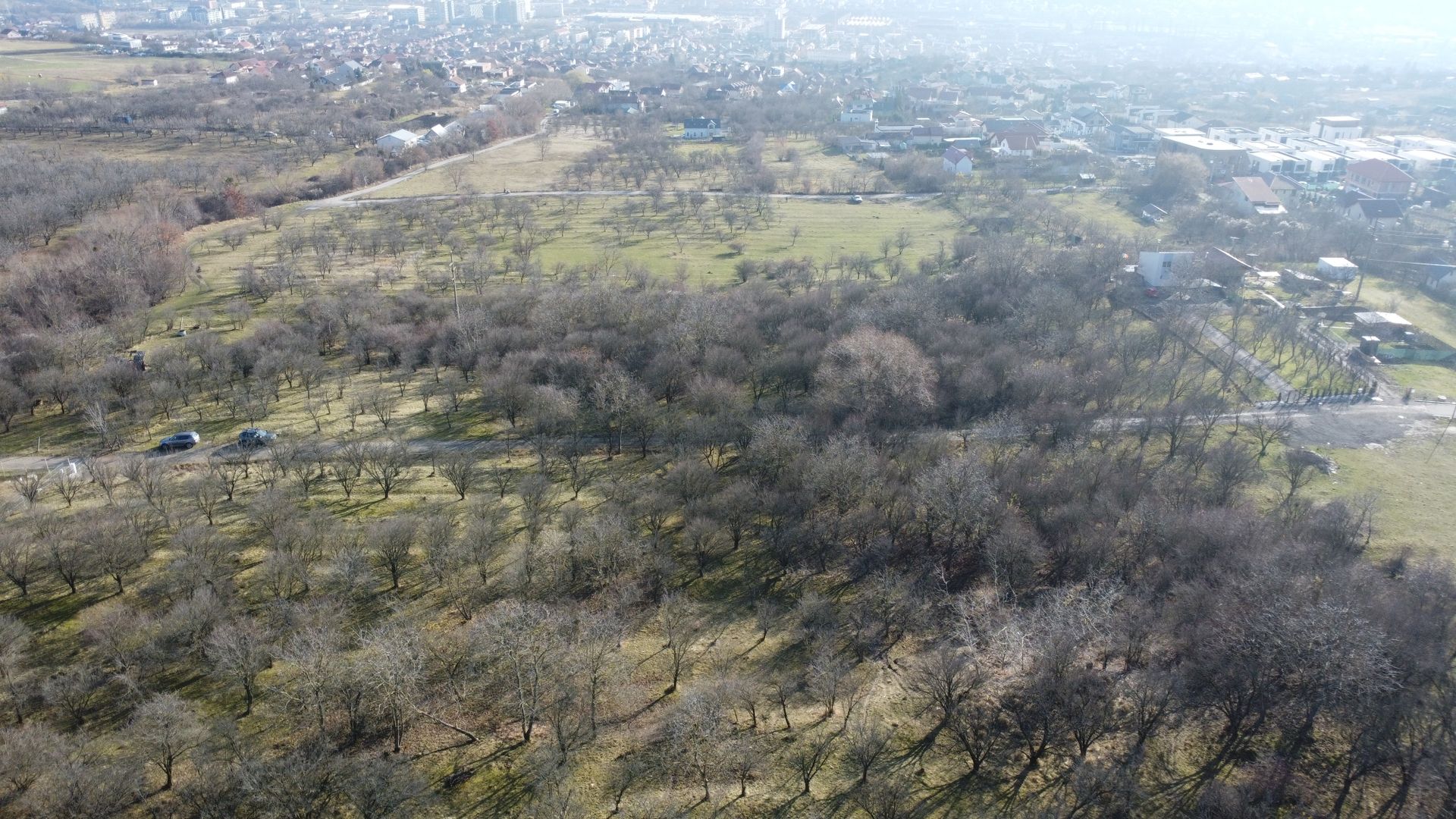 Teren 20.146 mp Dâmbu Rotund (Lomb).Extravilan.Potențial rezidențial - Poză 17