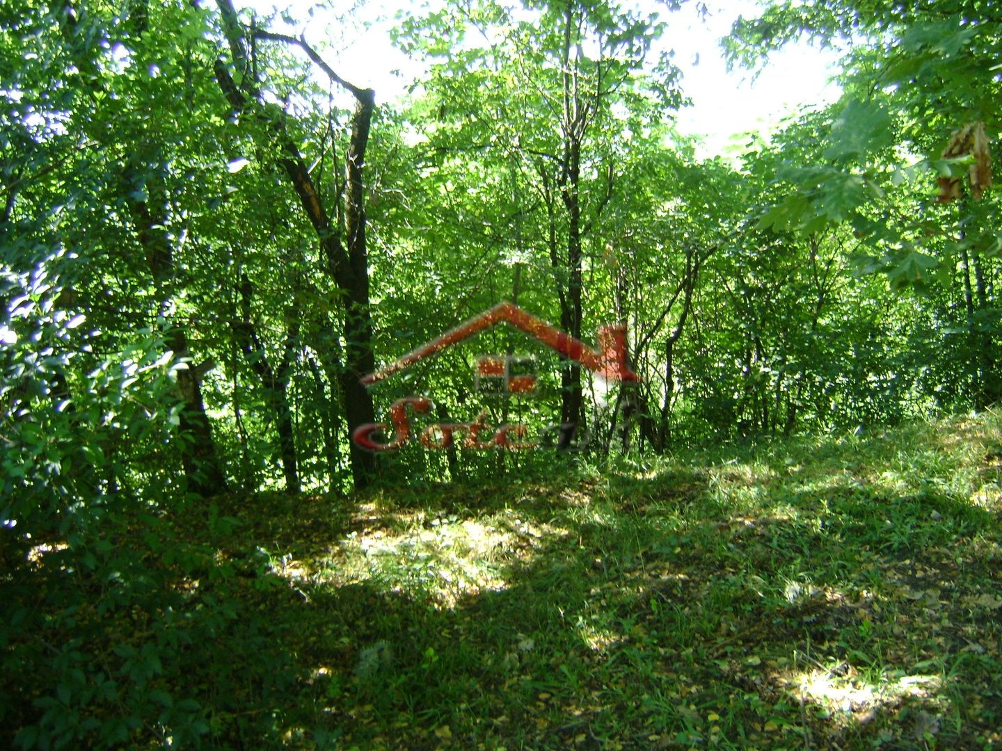 Teren de vânzare în Breaza– zonă liniștită, ideal pentru relaxare - Poză 19