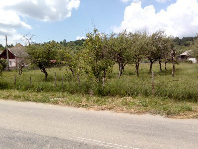 Teren intravilan si livada Draghici - Poză 3