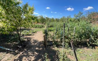 casa individuala Varias apa centrala pe gaz canalizare 1500mp - Poză 21