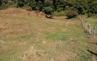 Teren Extravilan 20.000Mp I Stoenești -Vâlcea I Apă Curentă și Pădure - Poză 3