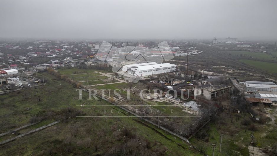Teren 28.788m + Hale industriale + Sediu Firma - Poză 3