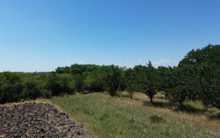 Teren cu livadă – 9.000 mp –la 400 m de ieșirea din Chișinau Cris - Poză 6