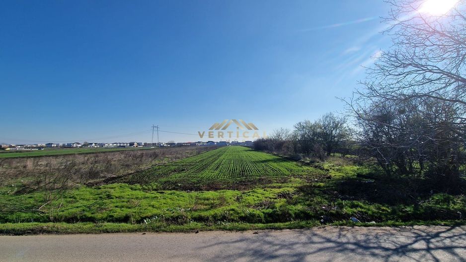 Intravilan , ocazie, 430mp, Berceni, IF - Poză 3