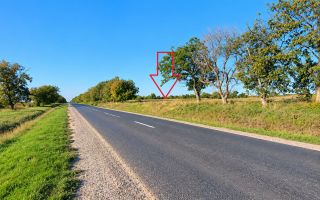 4,85 HA CU DESCHIDERE DE 300 M LA TRASEU | CRIULENI – SLOBOZIA-DUȘCA - Poză 2