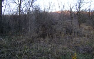 Teren de vanzare Cornu de Jos - Poză 1