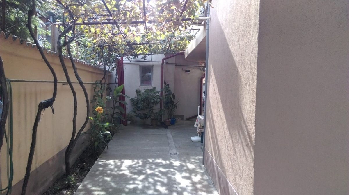 Mihai Bravu, Vitan - Poză 4