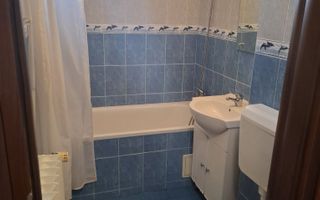 Vanzare apartament luminos de 2 camere, 57mp Titan-  Barajul Lotru - Poză 5