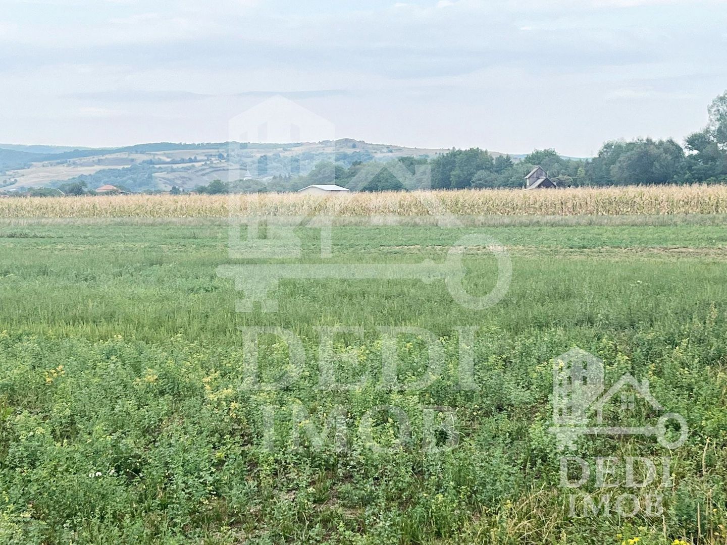 Teren extravilan Lugasu de jos, Bihor - Poză 6