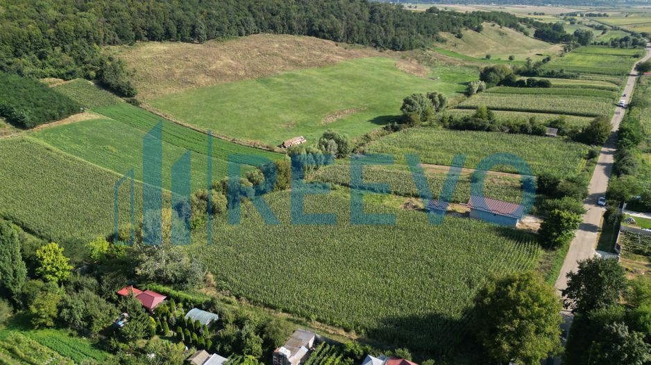 Teren intravilan de vânzare, Sat Bogdănști, Com. Traian - Poză 10