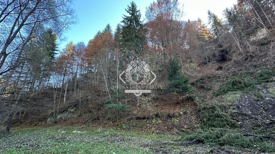 Teren 2.882 mp – oportunitate investitie - Cheile Dâmbovicioarei - Poză 6