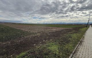 Teren intravilan | 9600 mp | Șură Mică | Utilități | Drum Asfaltat - Poză 1