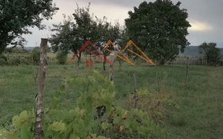 Casa rustica 3 camere, 4000 mp teren, cabana din lemn, pomi fructiferi - Poză 7