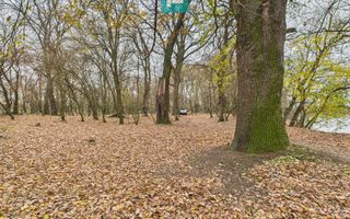 Teren spectaculos la  Periam Port - Poză 6