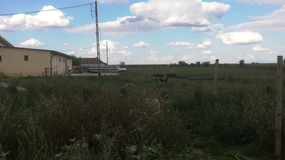 Ferma de vânzare - Poză 12