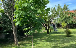 Casă elegantă, spațioasă, ideală pentru familie – Sanmihaiu Roman - Poză 31