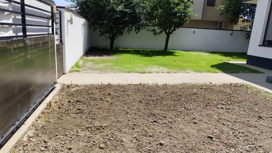 Padurea Craiului - Poză 8