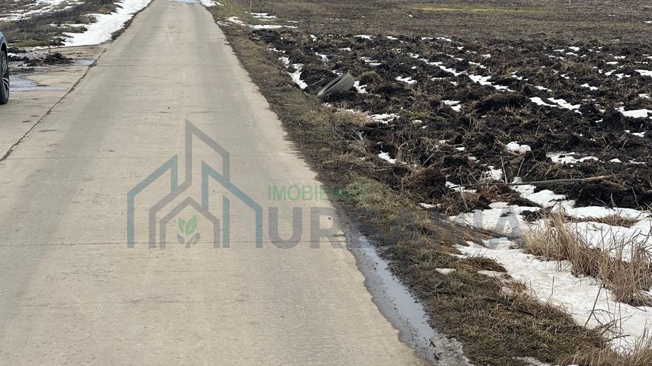 Teren Dancu deschidere la doua drumuri - Poză 4