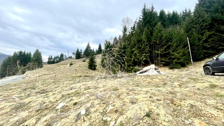 Teren intravilan 3039 mp-Parcelabil-ponton-Colibita Exclusiv - Poză 3