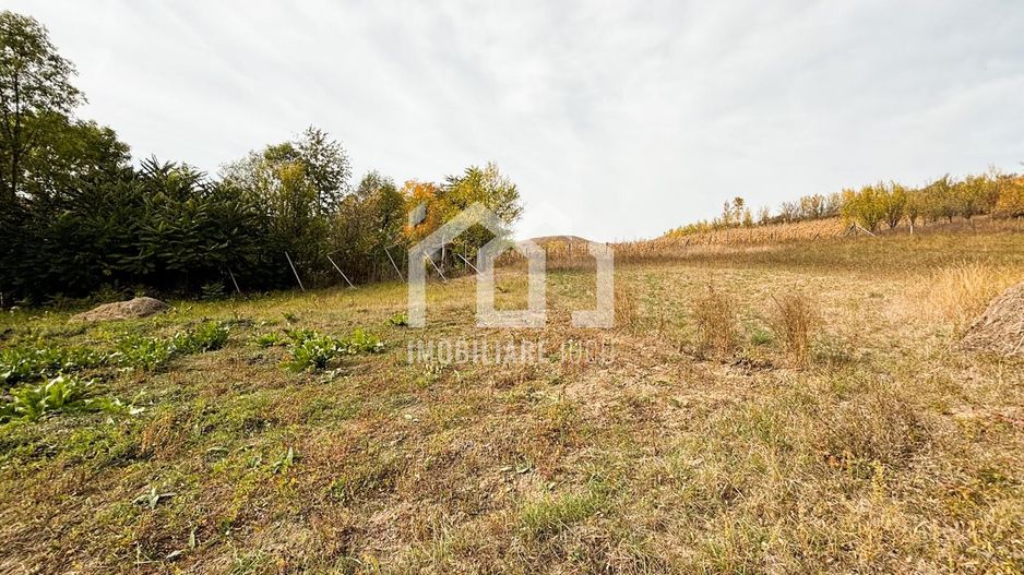 1.838 mp Construibil | Front 25,6 m | Zonă Rezidențială – Gădălin - Poză 2