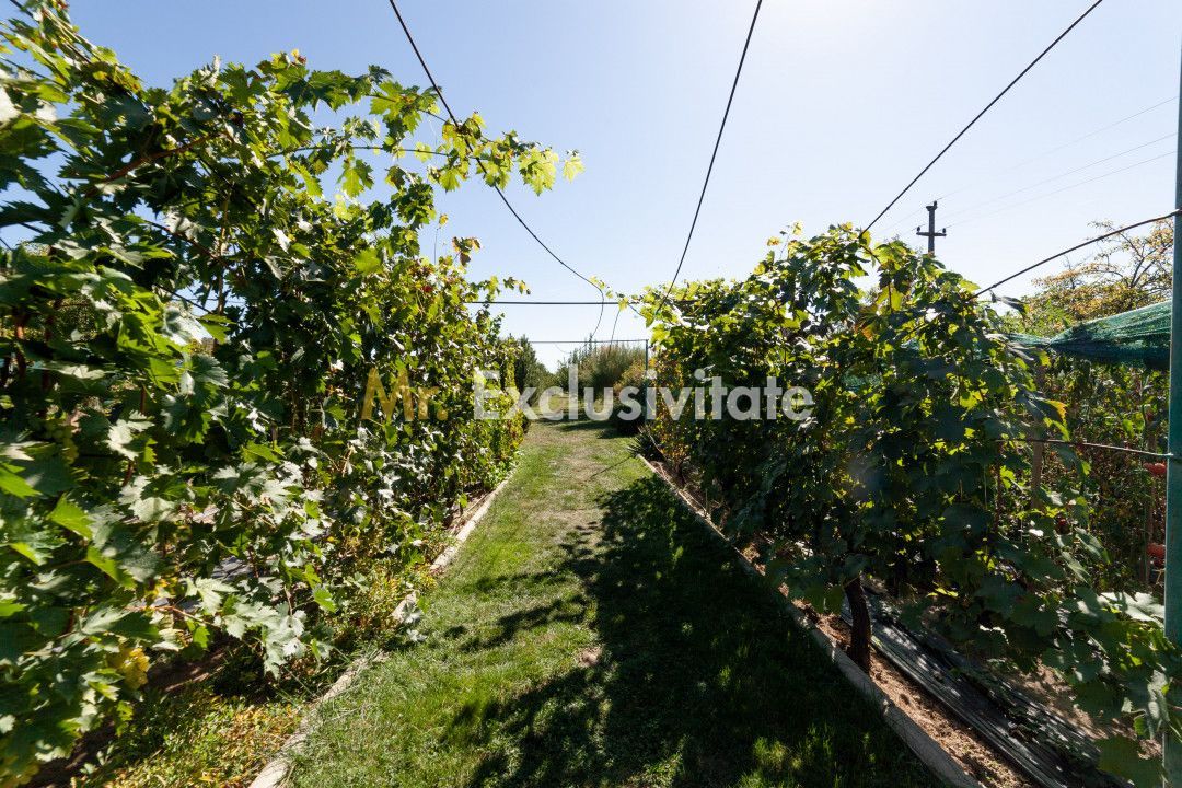 Casa visurilor cu 4000 mp livada roditoare si gradina Darmanesti-Arges - Poză 18