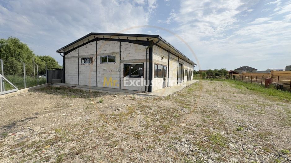 Inchiriere Hală Producție/Depozitare 300 mp, Teren 1791 mp - Carei - Poză 2