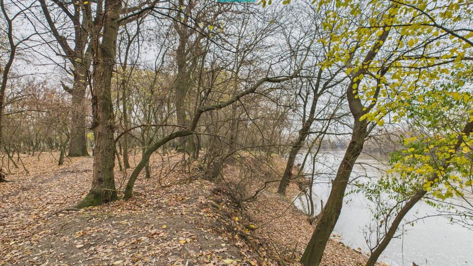 Teren pe malul Muresului- oportunitati multiple - Poză 23