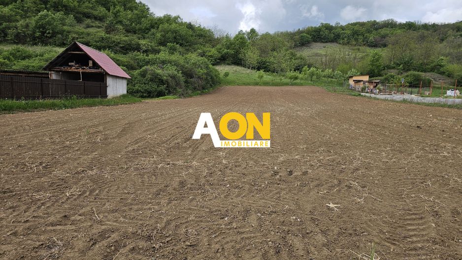 Teren intravilan langa Alba Iulia, 2742 mp, comuna Vintu de Jos - Poză 1