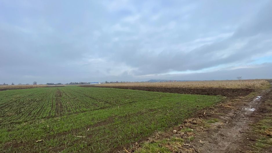 TEREN EXTRAVILAN 13 ARI | FRONT STRADAL 13 M | MARGINEA - Poză 3