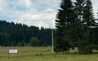 PARCELE DE VÂNZARE, pe malul râului BÂSCA, COMANDAU, COVASNA - Poză 10